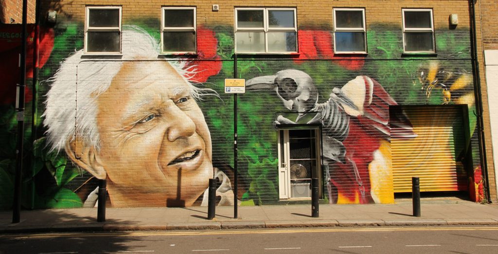 A mural of David Attenborough.